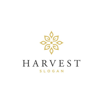 harvest vector logo design