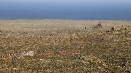 Fototapeta premium Paysages de Lanzarote