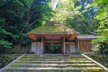 京都市 法然院 境内からの山門