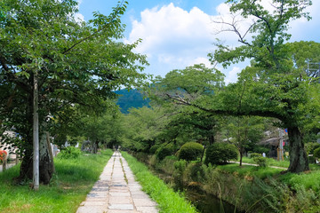 京都市 哲学の道