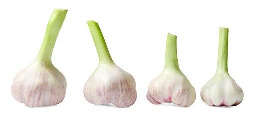 A few heads of fresh early garlic on a white isolated background. Side view.