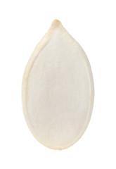 Pumpkin seed isolated on white. Macro. Side view.