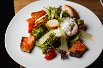 Seafood salad in white plate with fish, tomato and greenery