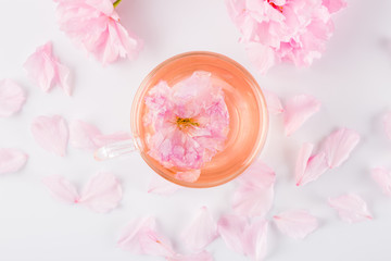 Cup of pink cherry blossom herb tea on white, Top view