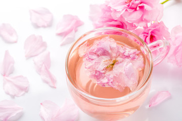 Obraz na płótnie Canvas Sakura tea. Closeup of cherry blossom herb tea on white