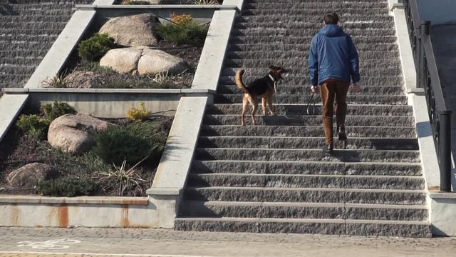 A man with a dog climbs the stairs in a city park on a sunny spring day