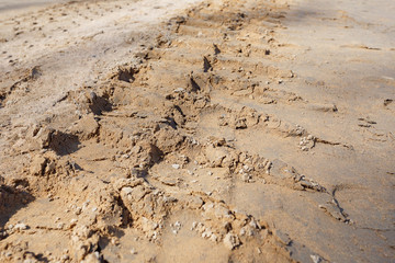 Traces of tire treads on the sand.