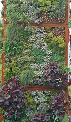 A example of a botanical habitat in a future vertical garden
