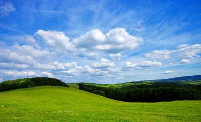 Summer landscape with green grass and blue sky.