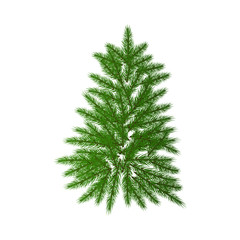Tree, green Christmas fir tree, isolated on white background.