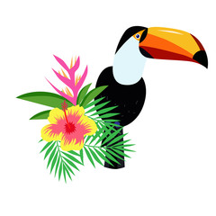 Beautiful toco toucan cartoon vector illustration