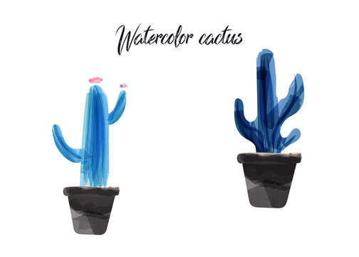 Vector cactus isolated on white background, watercolor style