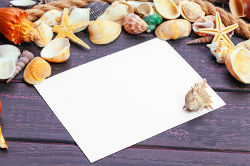 Different sea shells on color wooden background