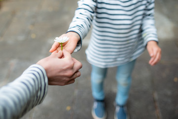 白い花を手渡す親子