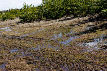Melt water in nature, last spring
