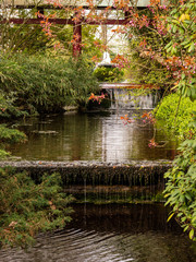 Fototapeta premium Japanischer Garten mit Wasserlauf Natur