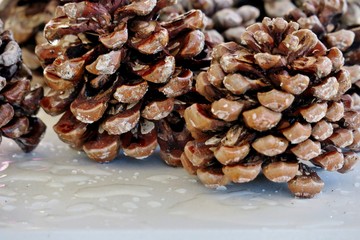 big bumps on a white background close-up