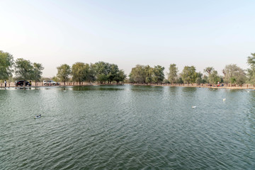 Al Qudra lake Dubai