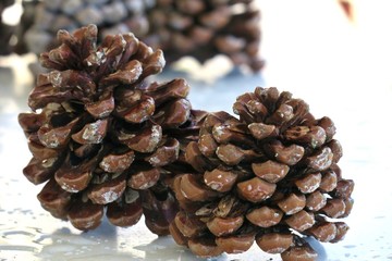 big bumps on a white background close-up