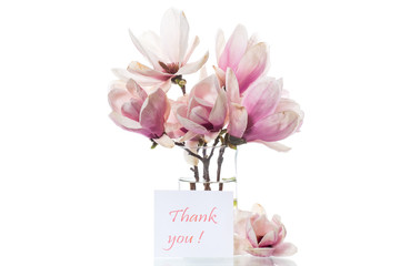 spring beautiful blooming magnolia on a white