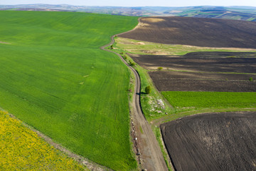 Spring fields top view.