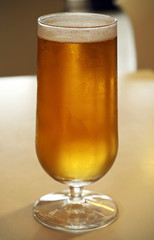 Fresh beer in ice cold glass