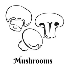 Mushrooms black white icon. Vector champignon outline illustration.