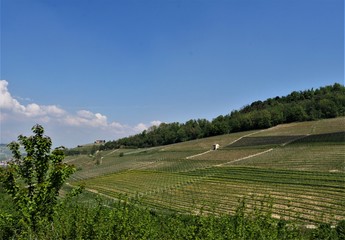 Fototapeta premium Piemont