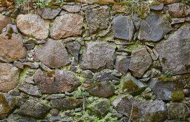 Old anticient stone wall from rough rocks with moss and wild plants growth on it, background, texture
