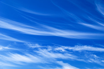 Light white cirrus clouds in the blue sky on a sunny day - obrazy, fototapety, plakaty