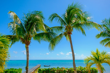 Fototapeta premium View of the Caribbean Sea from South Hole Sound on Little Cayman, Cayman Islands