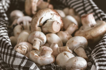 Fresh champignon mushrooms group on the table. Fresh vegetables mushrooms - the concept of healthy proper nutrition. Dark Food Photography
