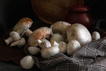 Fresh champignon mushrooms group on the table. Fresh vegetables mushrooms - the concept of healthy proper nutrition. Dark Food Photography