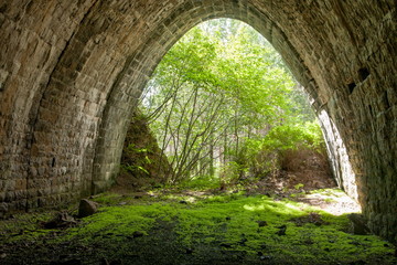Fototapeta premium Fabulous stone tunnel with greenery, trees and moss, beautifully lit sun rays