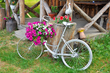 Fototapeta na wymiar beautiful flowers in a pot on a decorative bike