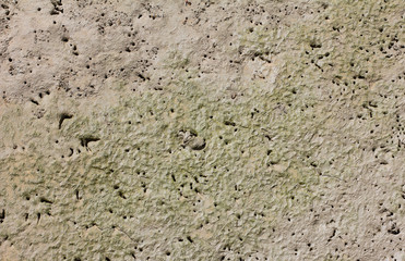 Textura basada en el cieno de las marismas con marea baja