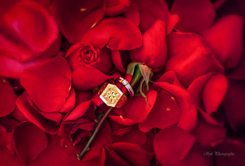 the rings for bride and groom.