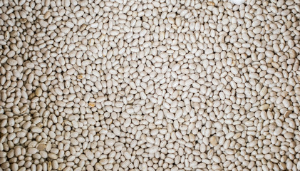 dry phaseolus kidney bean texture