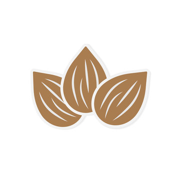 raw almond icon- vector illustration