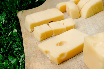 cheese slices on wooden board appetizer on background green grass, picnic outdoors, catering buffet at summer celebration