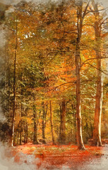 Fototapeta na wymiar Watercolour painting of Vibrant Autumn Fall forest landscape image