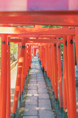 稲荷神社の鳥居