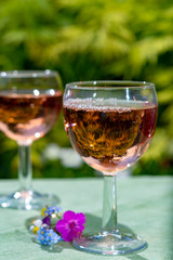 Waiter pouring cold rose wine in glasses in summer sunny day in blossoming garden