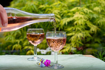 Waiter pouring cold rose wine in glasses in summer sunny day in blossoming garden