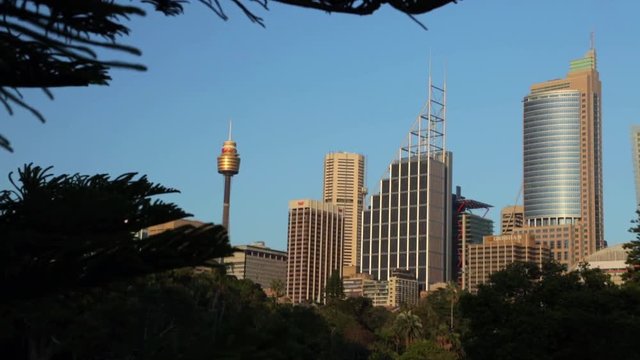 Panning shot of Sydney's cityscape, including the center point tower and various iconic Australian companies. 