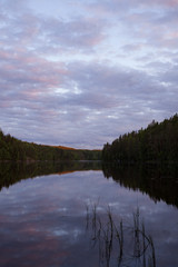 Calm forest lake at midsummer night sky reflection