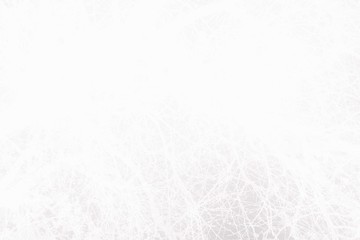 White Tree Branches Texture Background.