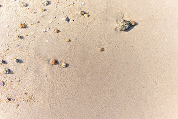 Top view sand background Copy space for text.