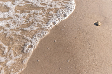 Top view sand background Copy space for text. Sea beach and soft wave.