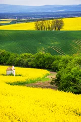 Wall murals Yellow Scenic view of beautiful Moravian Tuscany landscape in South Moravia, Czech Republic.